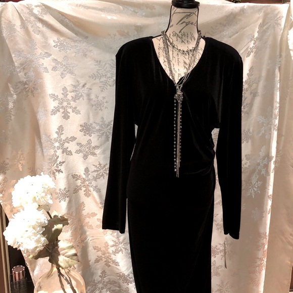 LUXURIOUS VELVET FULL LENGTH PLUS SIZE GOWN - Picture 1 of 16